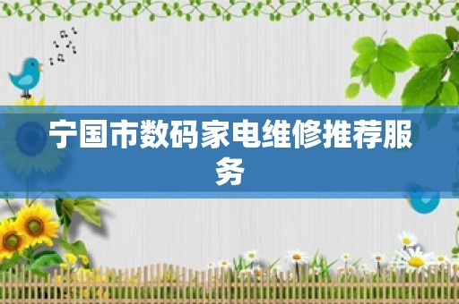 宁国市数码家电维修推荐服务
