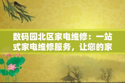 数码园北区家电维修：一站式家电维修服务，让您的家电焕发新生