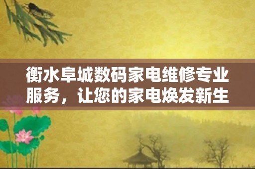 衡水阜城数码家电维修专业服务，让您的家电焕发新生！