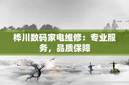 桦川数码家电维修：专业服务，品质保障