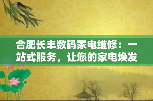 合肥长丰数码家电维修：一站式服务，让您的家电焕发新生