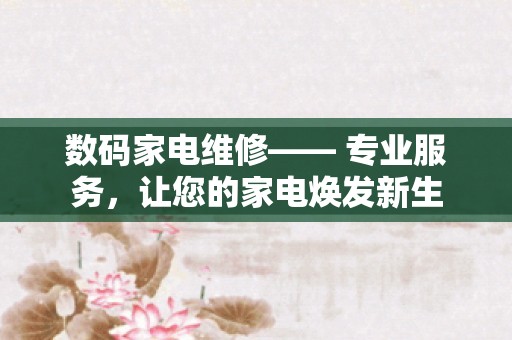 数码家电维修—— 专业服务，让您的家电焕发新生