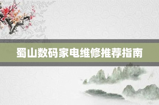 蜀山数码家电维修推荐指南
