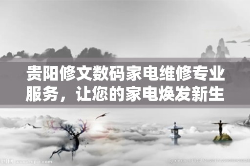 贵阳修文数码家电维修专业服务，让您的家电焕发新生！