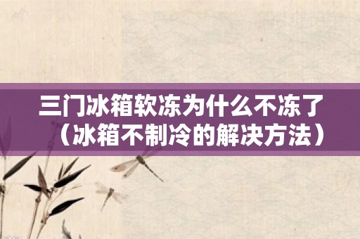 三门冰箱软冻为什么不冻了（冰箱不制冷的解决方法）
