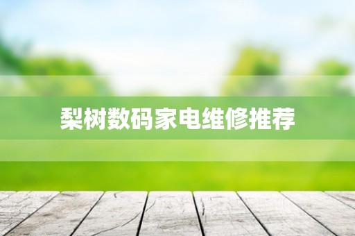 梨树数码家电维修推荐