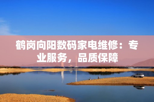 鹤岗向阳数码家电维修：专业服务，品质保障