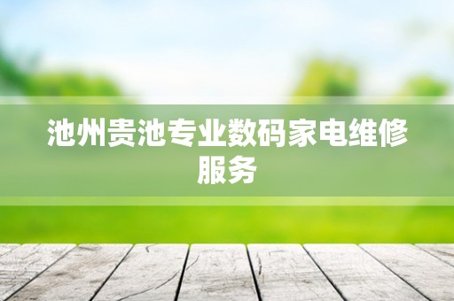 池州贵池专业数码家电维修服务
