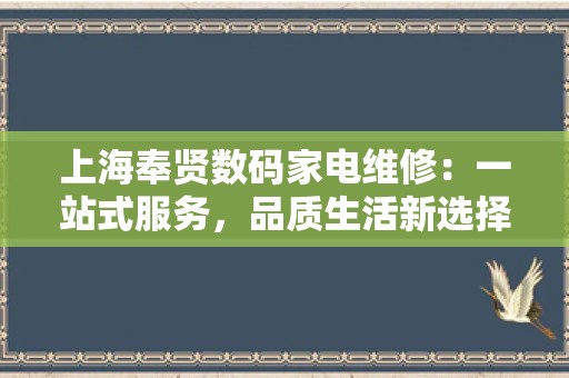 上海奉贤数码家电维修：一站式服务，品质生活新选择