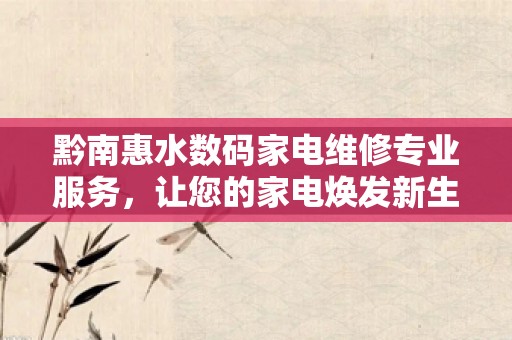 黔南惠水数码家电维修专业服务，让您的家电焕发新生！