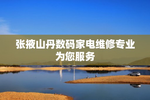 张掖山丹数码家电维修专业为您服务