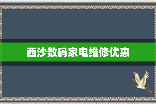 西沙数码家电维修优惠