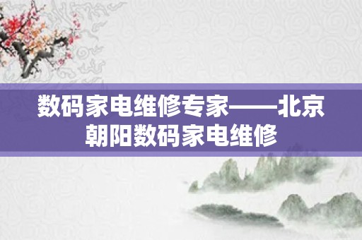 数码家电维修专家——北京朝阳数码家电维修