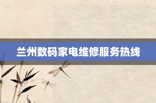 兰州数码家电维修服务热线