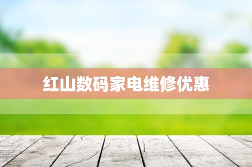 红山数码家电维修优惠