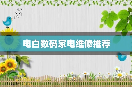 电白数码家电维修推荐