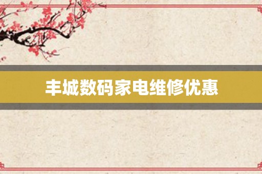 丰城数码家电维修优惠