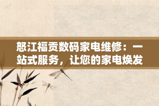 怒江福贡数码家电维修：一站式服务，让您的家电焕发新生！