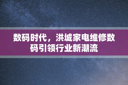 数码时代，洪城家电维修数码引领行业新潮流