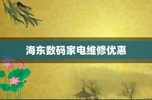 海东数码家电维修优惠