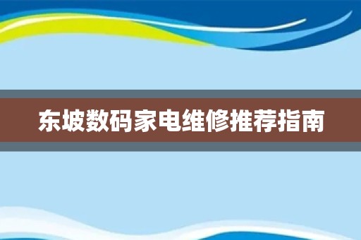 东坡数码家电维修推荐指南