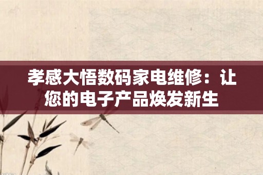 孝感大悟数码家电维修：让您的电子产品焕发新生