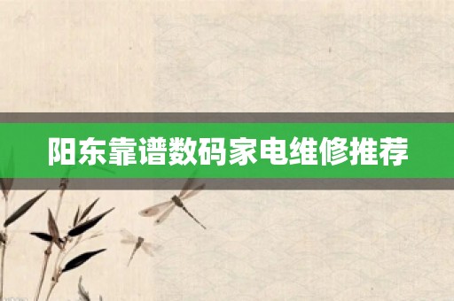 阳东靠谱数码家电维修推荐