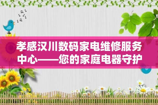 孝感汉川数码家电维修服务中心——您的家庭电器守护者
