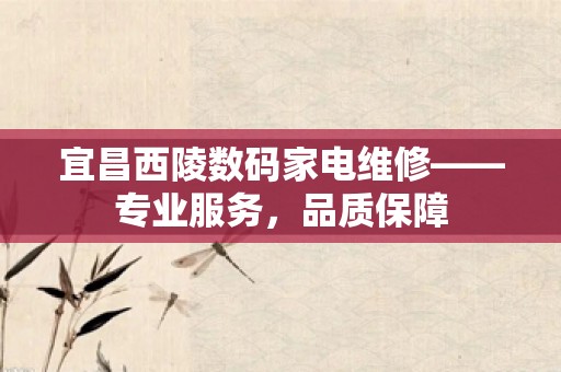 宜昌西陵数码家电维修——专业服务，品质保障