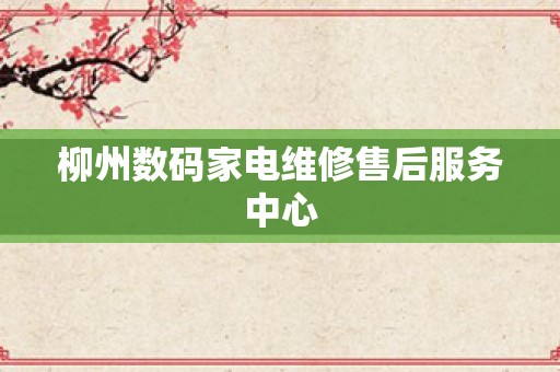 柳州数码家电维修售后服务中心