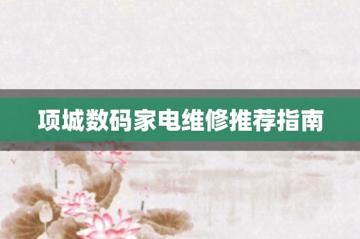项城数码家电维修推荐指南