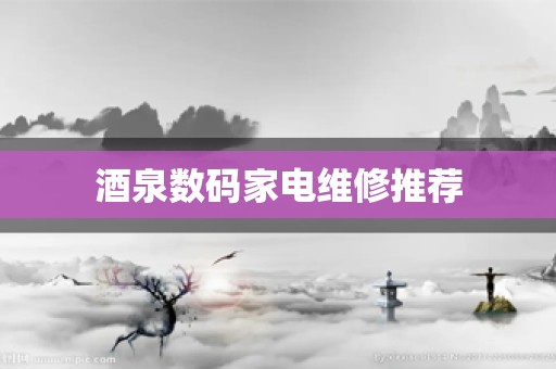 酒泉数码家电维修推荐