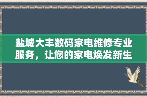盐城大丰数码家电维修专业服务，让您的家电焕发新生！