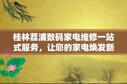 桂林荔浦数码家电维修一站式服务，让您的家电焕发新生！