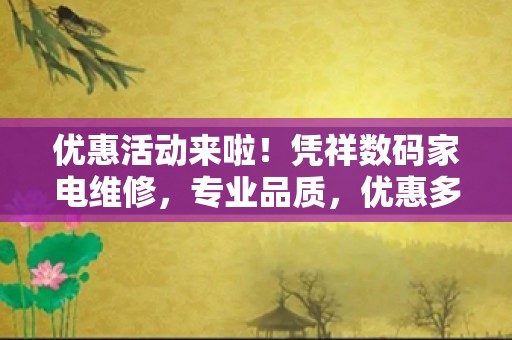 优惠活动来啦！凭祥数码家电维修，专业品质，优惠多多！