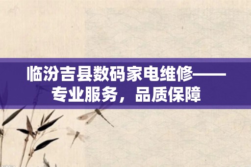 临汾吉县数码家电维修——专业服务，品质保障