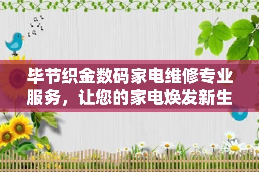 毕节织金数码家电维修专业服务，让您的家电焕发新生！