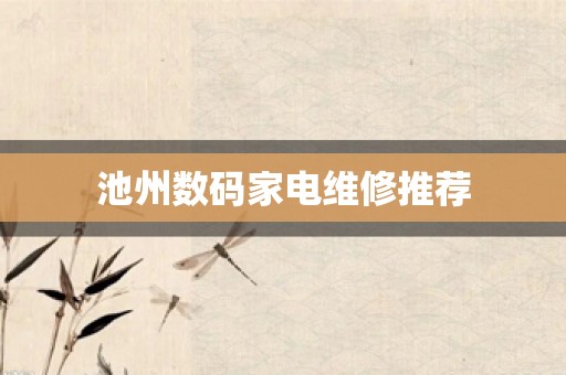 池州数码家电维修推荐