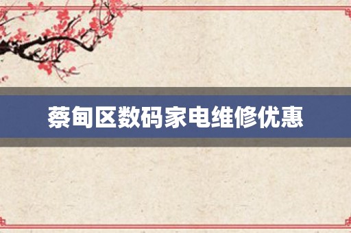 蔡甸区数码家电维修优惠