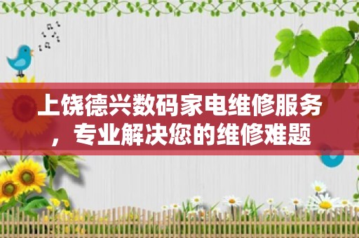 上饶德兴数码家电维修服务，专业解决您的维修难题