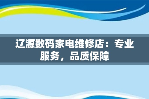 辽源数码家电维修店：专业服务，品质保障
