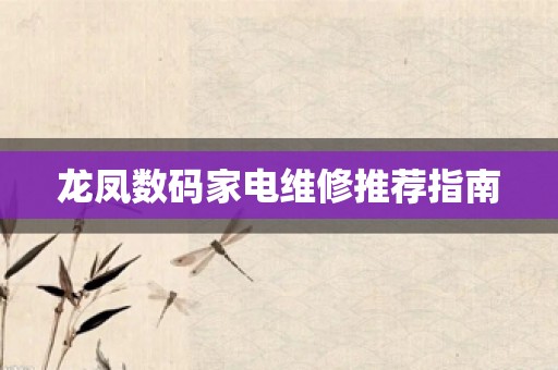 龙凤数码家电维修推荐指南