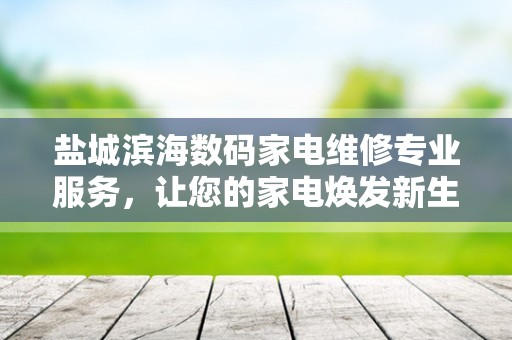 盐城滨海数码家电维修专业服务，让您的家电焕发新生