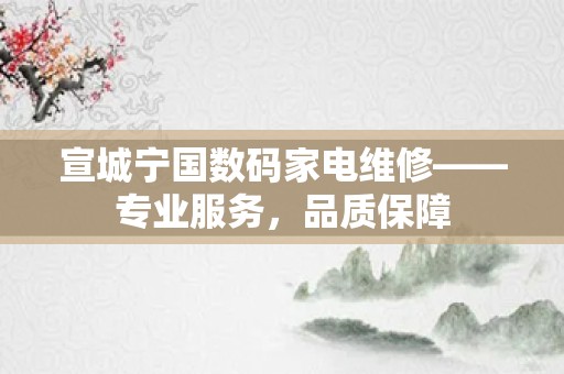 宣城宁国数码家电维修——专业服务，品质保障