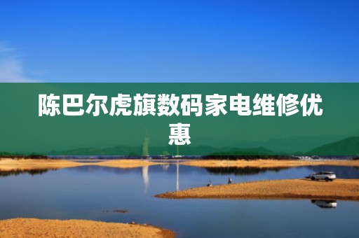 陈巴尔虎旗数码家电维修优惠