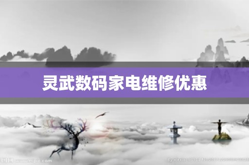 灵武数码家电维修优惠