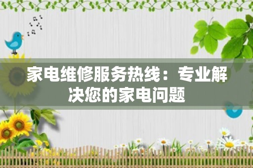 家电维修服务热线：专业解决您的家电问题