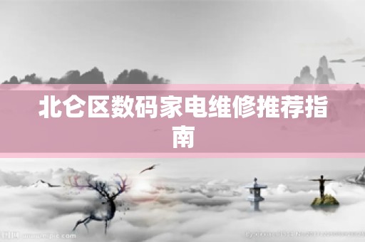 北仑区数码家电维修推荐指南