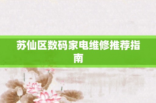 苏仙区数码家电维修推荐指南