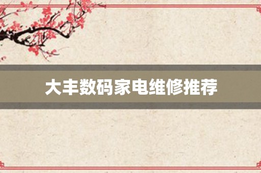 大丰数码家电维修推荐